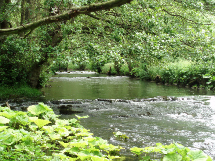 River Dove River Dove